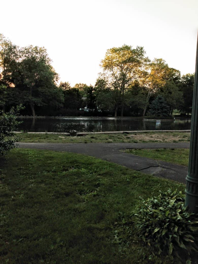 Scenic Walking Trails