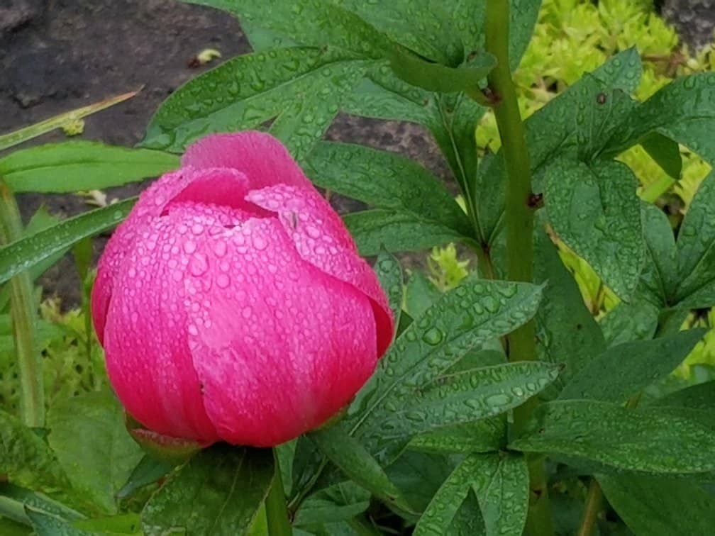 Photogenic Landscapes