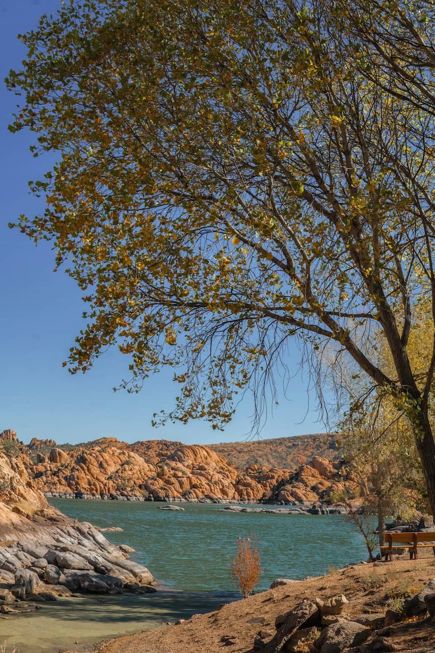 Kayaking & Paddleboarding