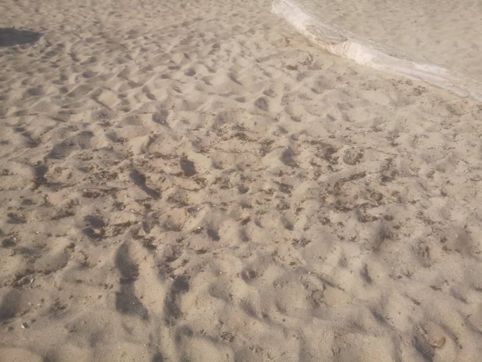 Crystal-Clear Shallow Waters