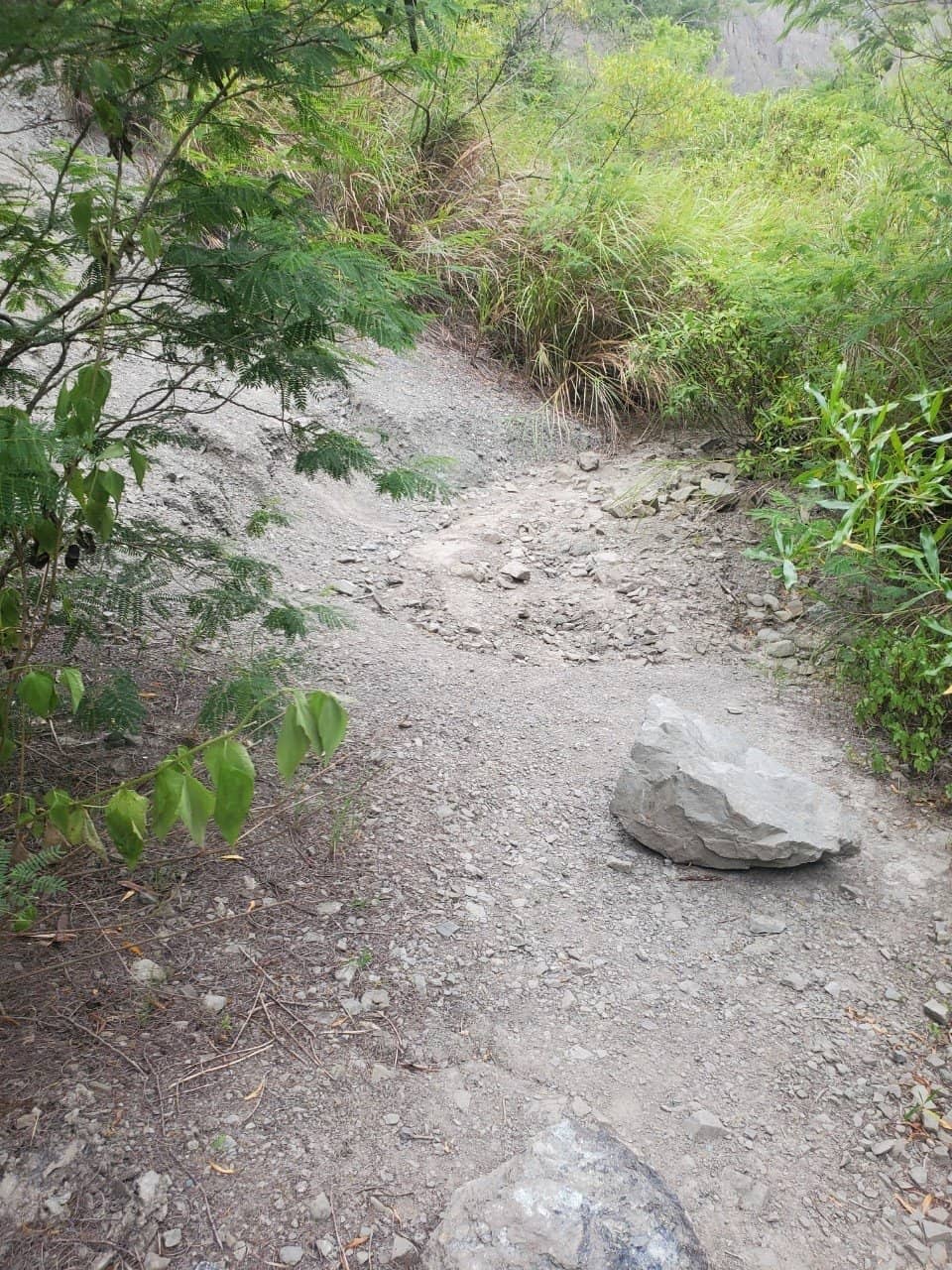 Artsy Decor and Exhibitions