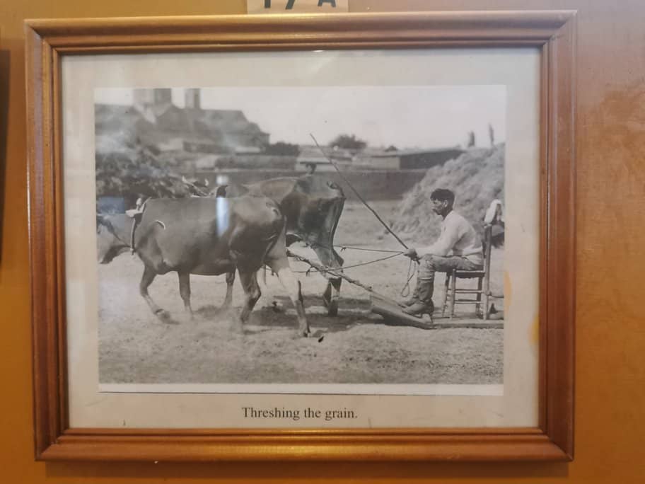 Everyday Household Items