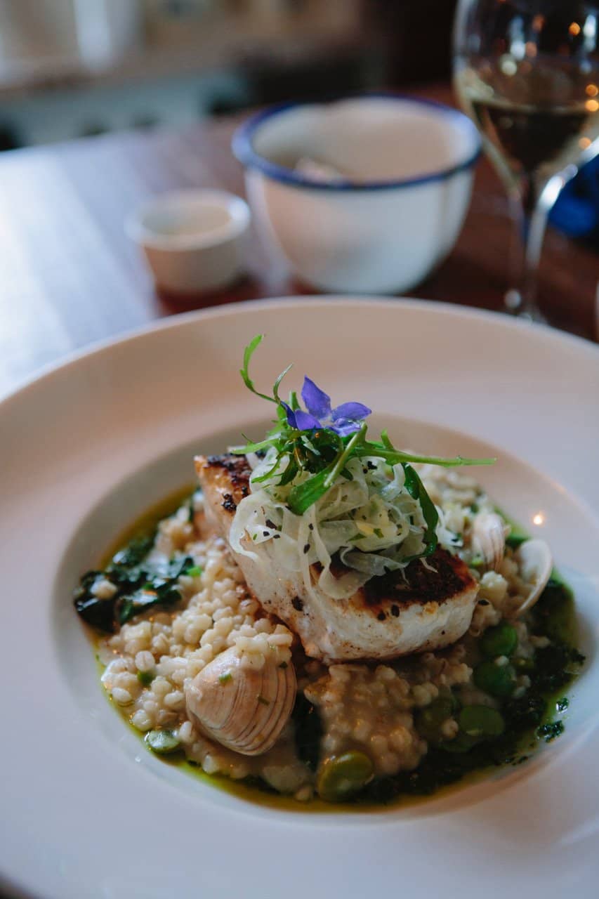 Seasonal & Fresh Dishes