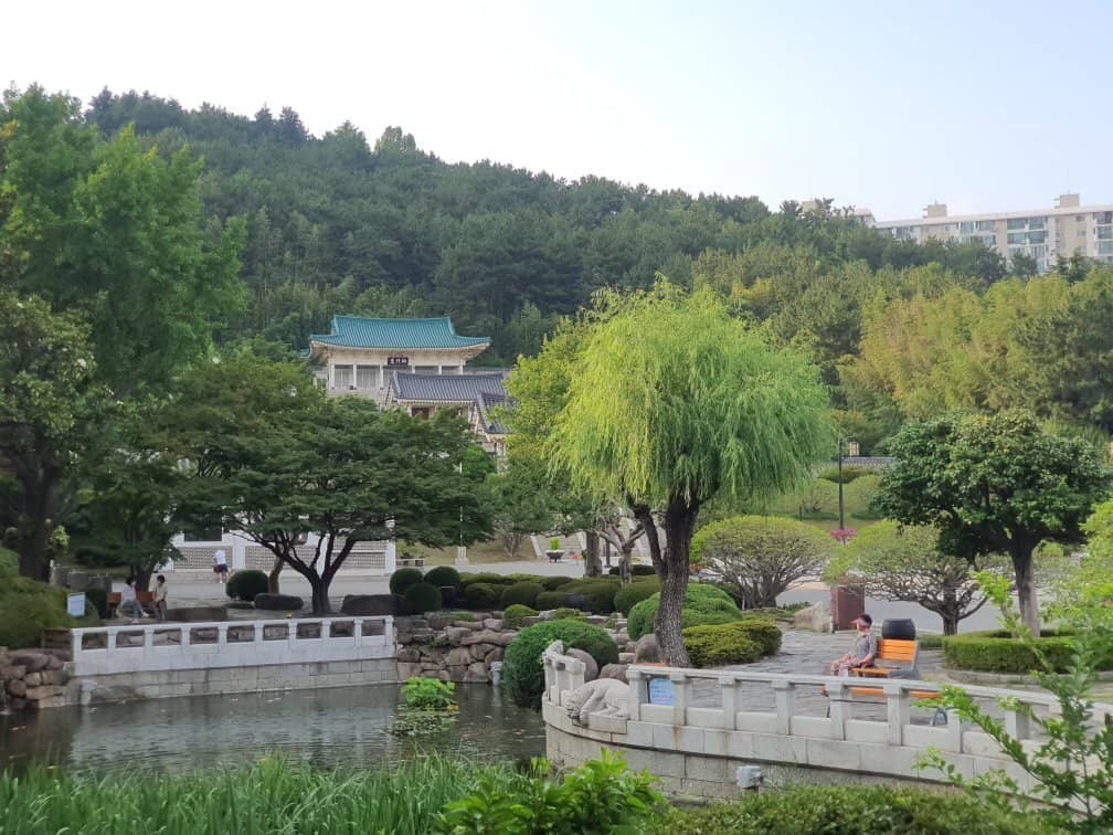 Plum Blossoms in Spring