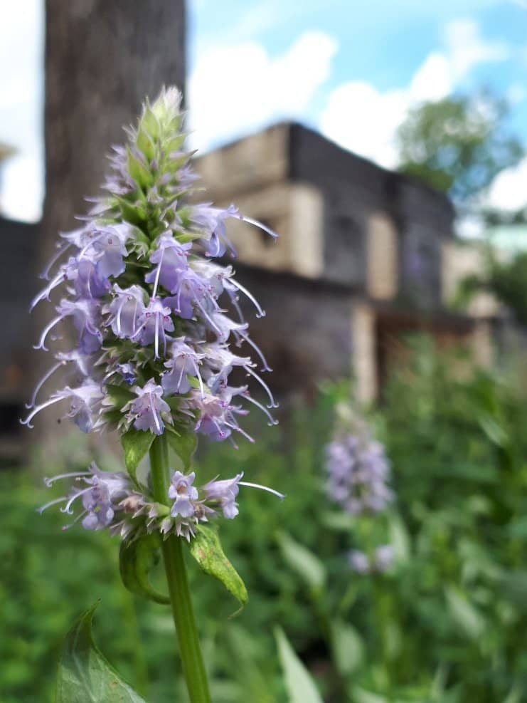 Interactive Light Wall
