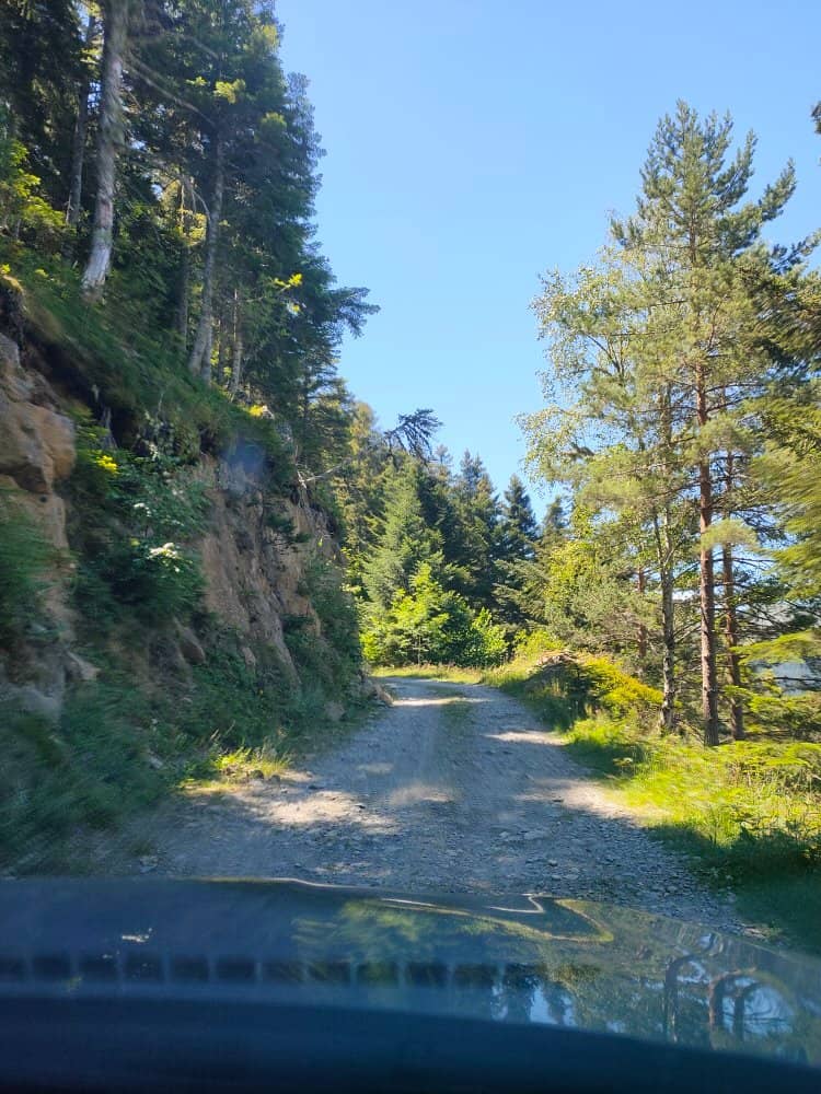 Riverside and Meadow Trails