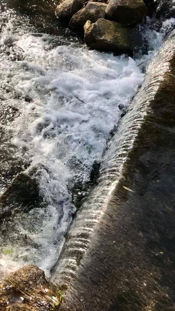 Abandoned Train Tracks