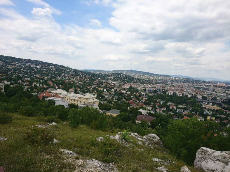 Native Wildlife Spotting