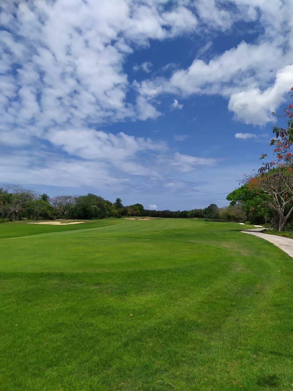 Family-Friendly Atmosphere