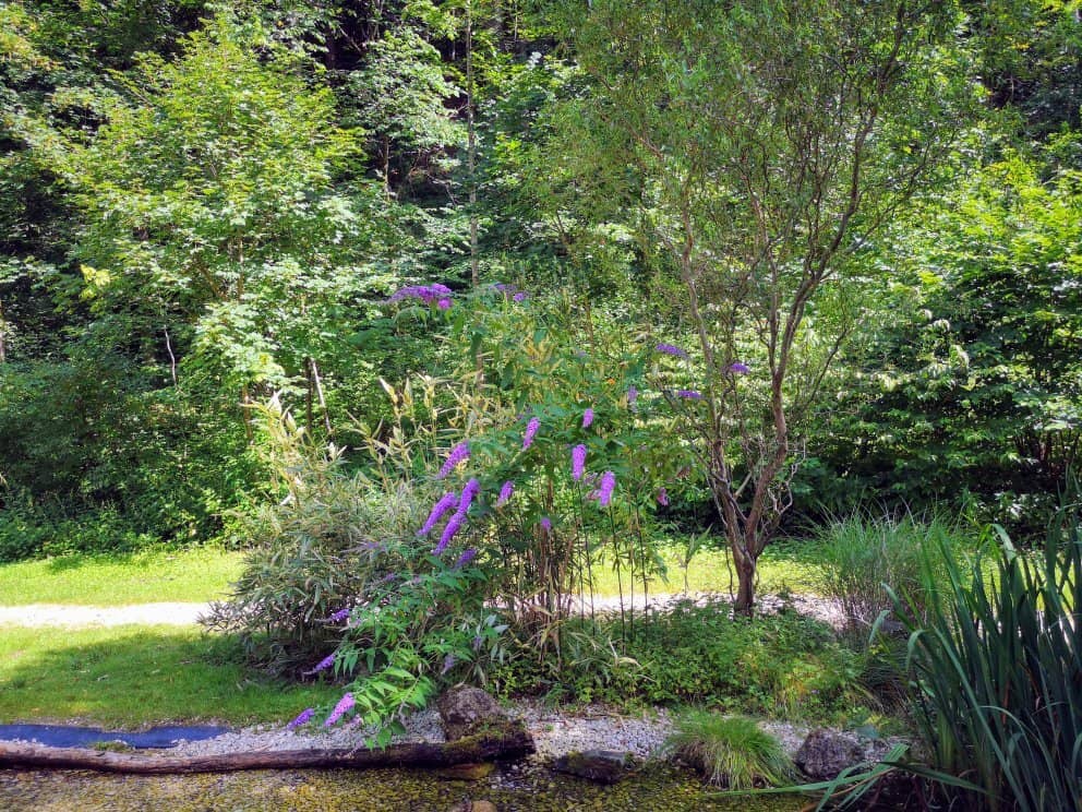 Organ Concert Experience