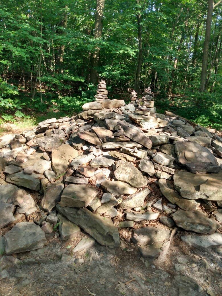 The Journey on the Trail