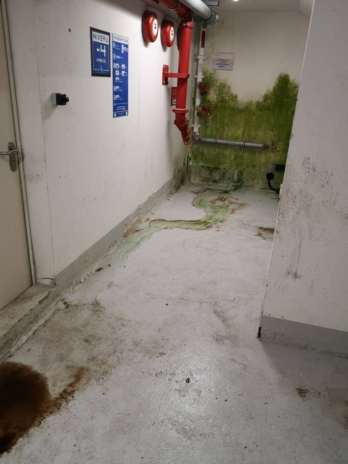 Vivres le Handicap Ensemble