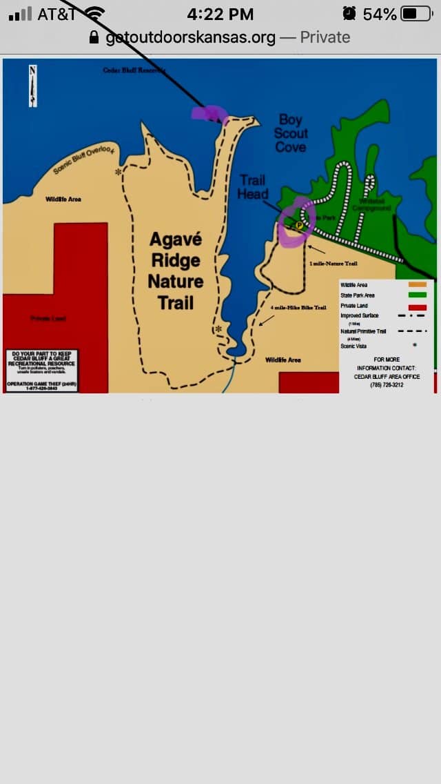 Oliver Lee Memorial State Park Oasis