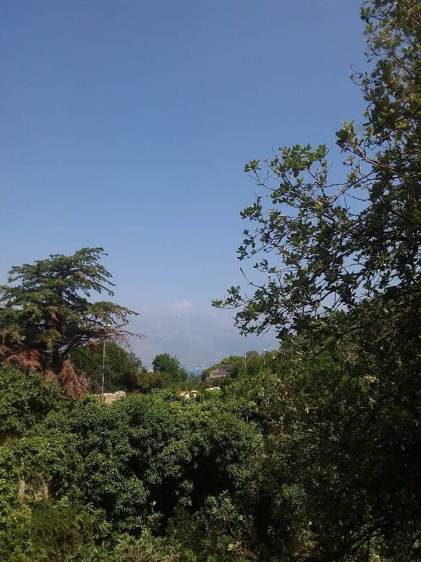 Borbonic Fortifications