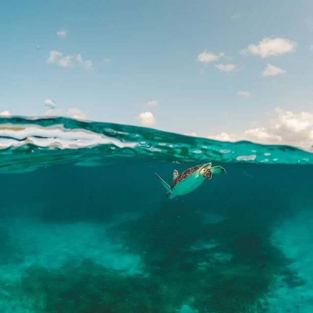 Underwater Cave Exploration