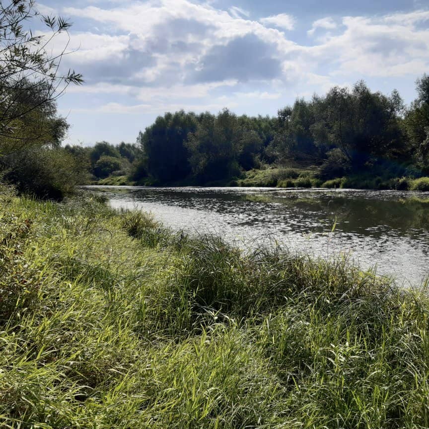 Wild Rose & Hawthorn Trails