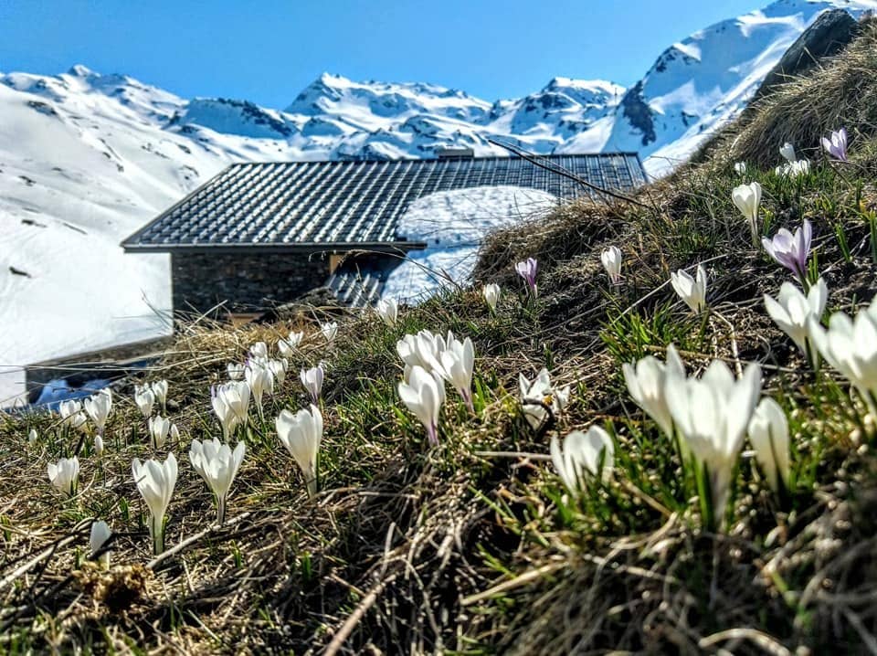 Delicious Mountain Cuisine