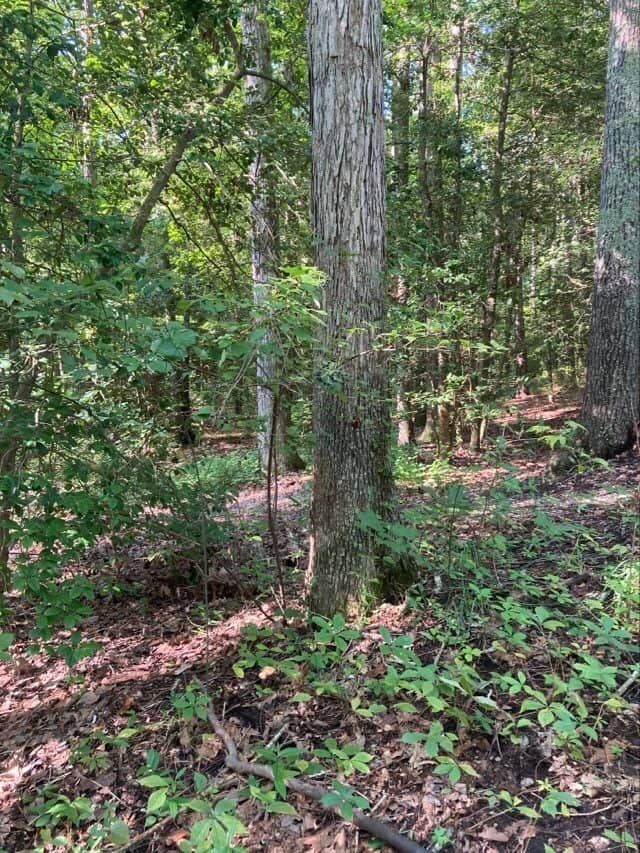 Paved Walking Trails