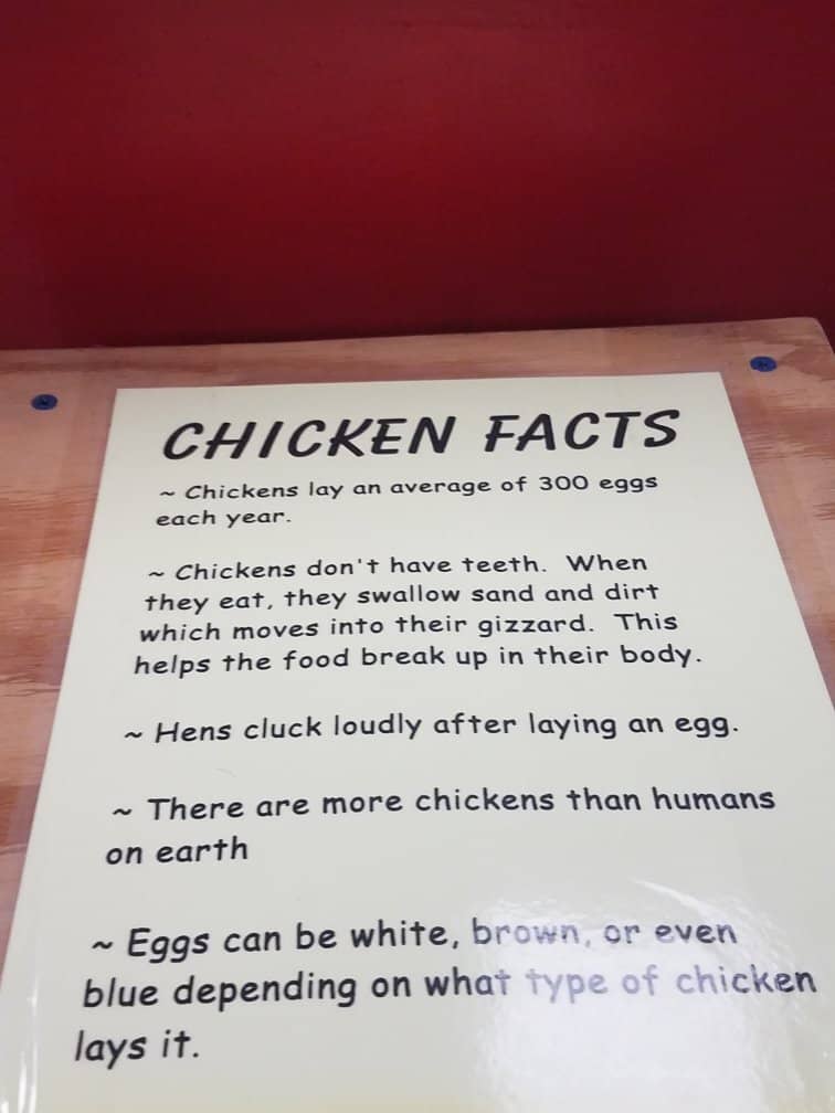 AdventHealth Medical Area