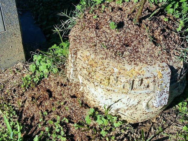 Unique Monuments and Mausoleums