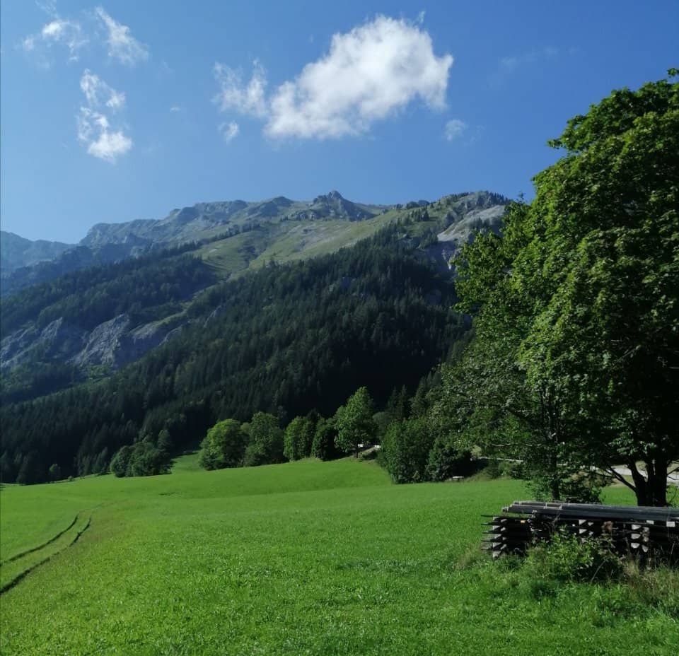 Baroque Architecture