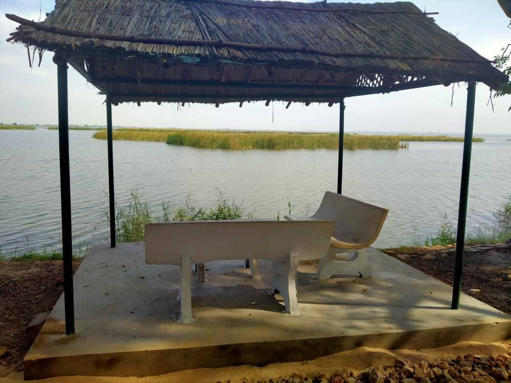 Crocodile Spotting (from a distance!)