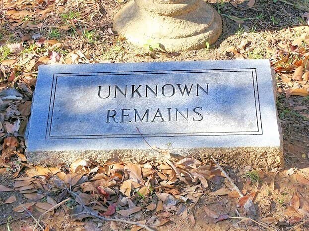 Spanish Moss Draped Trees