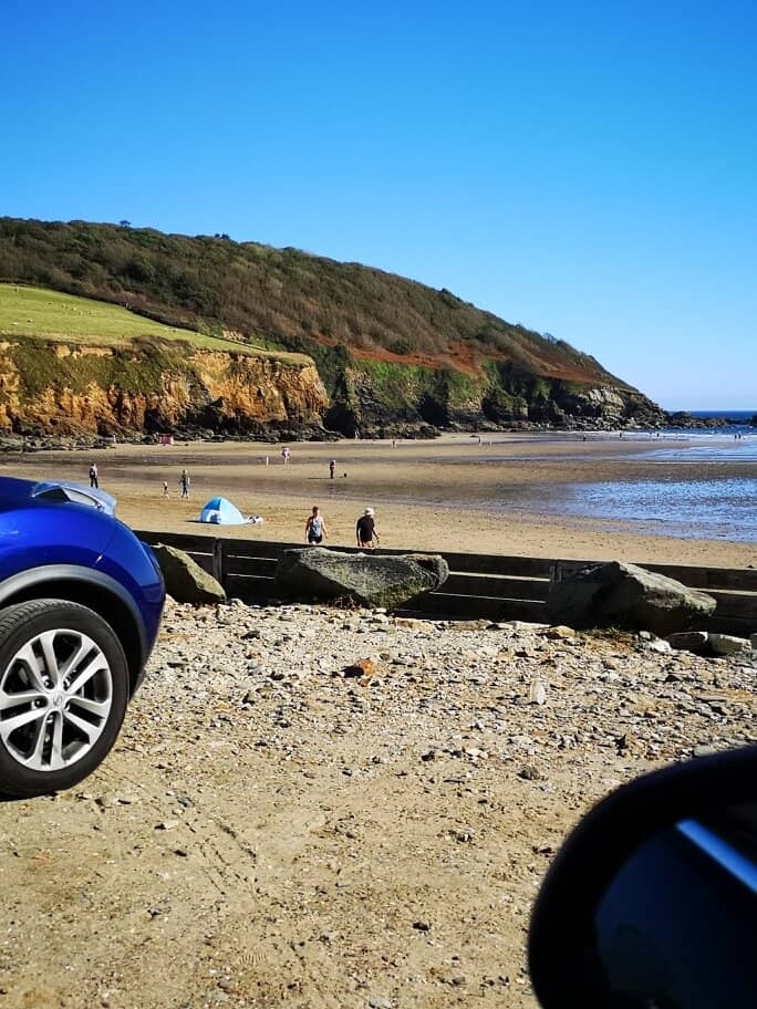 Caerhays Castle Backdrop