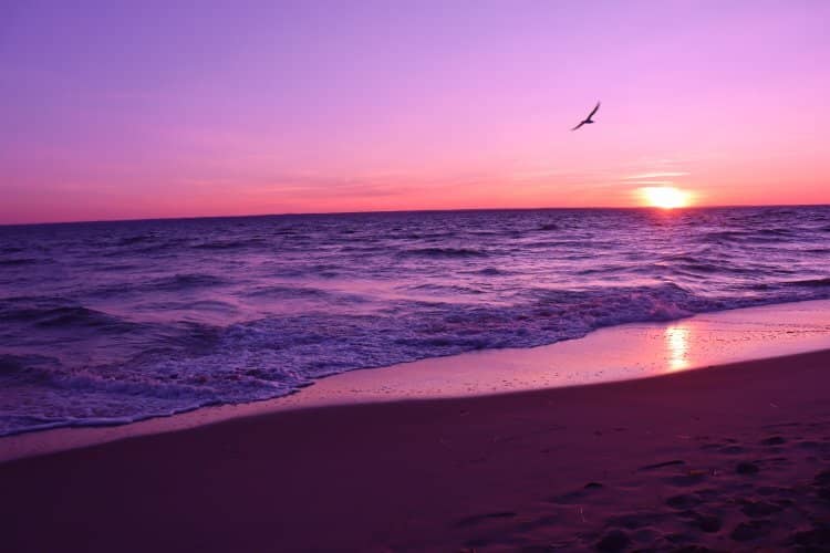 Abandoned Military Structures