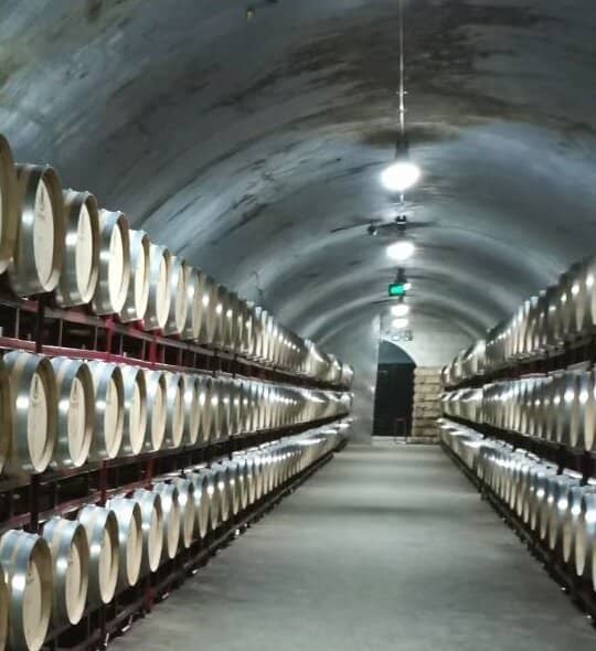 Bottling Plant Experience