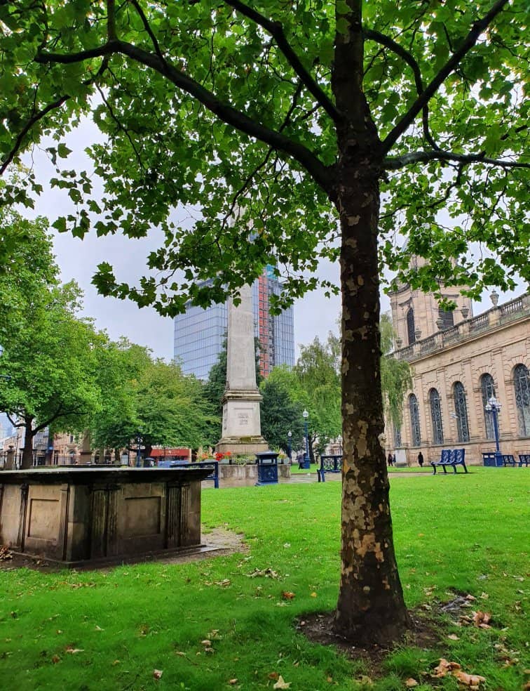 Contrast with Modern Skyline