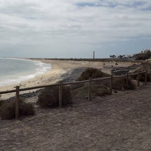 Friendly Barbary Squirrels