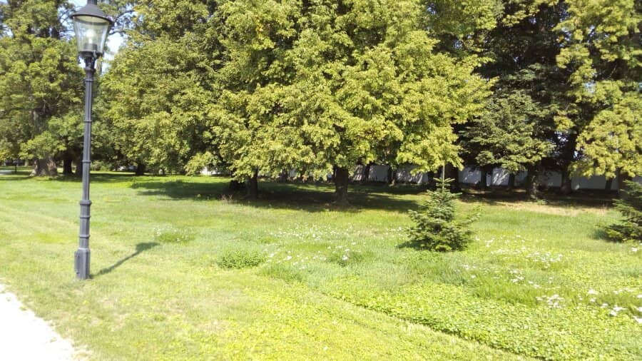 Chateau History Tour