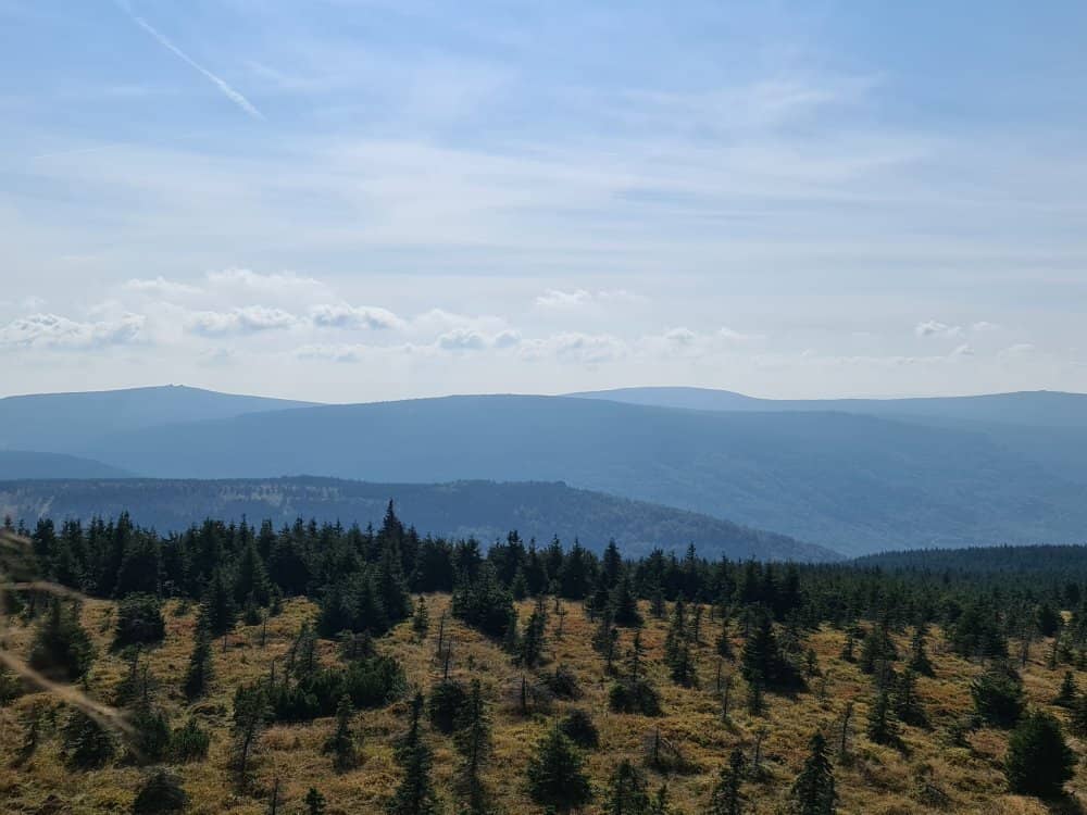 Modern Observation Tower