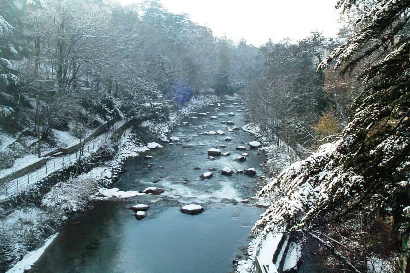 Artistic Floral Displays