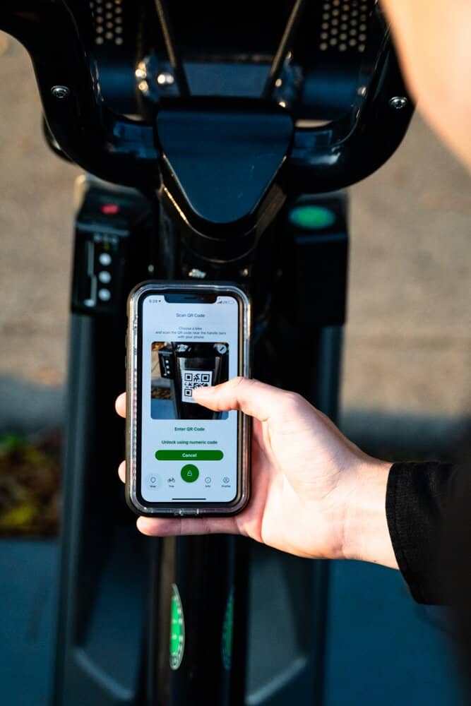 High Park Adventures