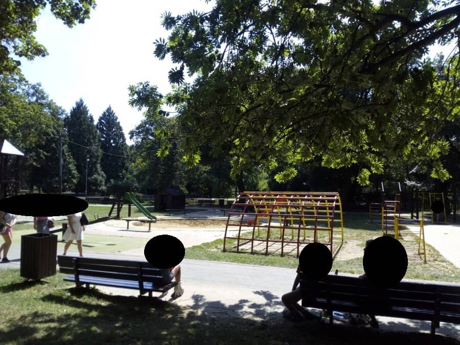 Beautiful Flower Gardens