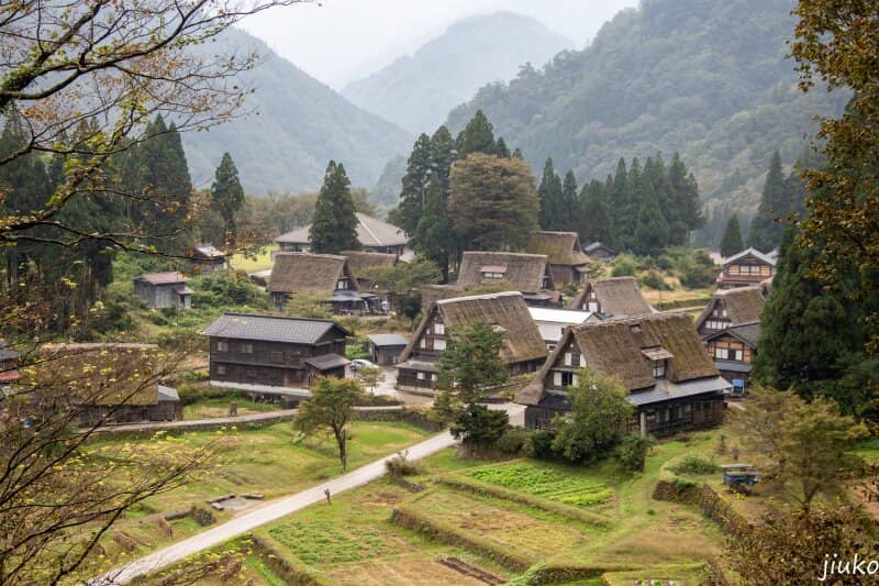 Tranquil Hiking Trail