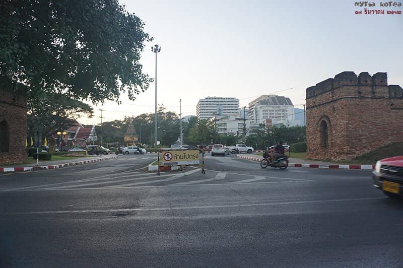 Vibrant Flower Displays