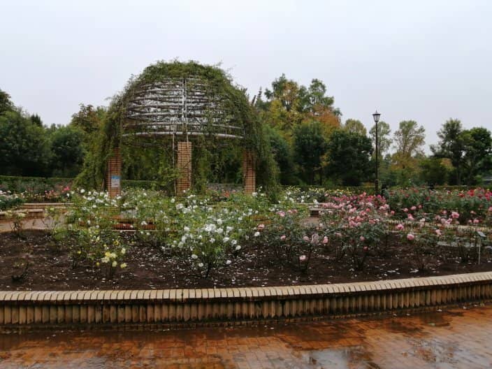 Scenic Running Tracks