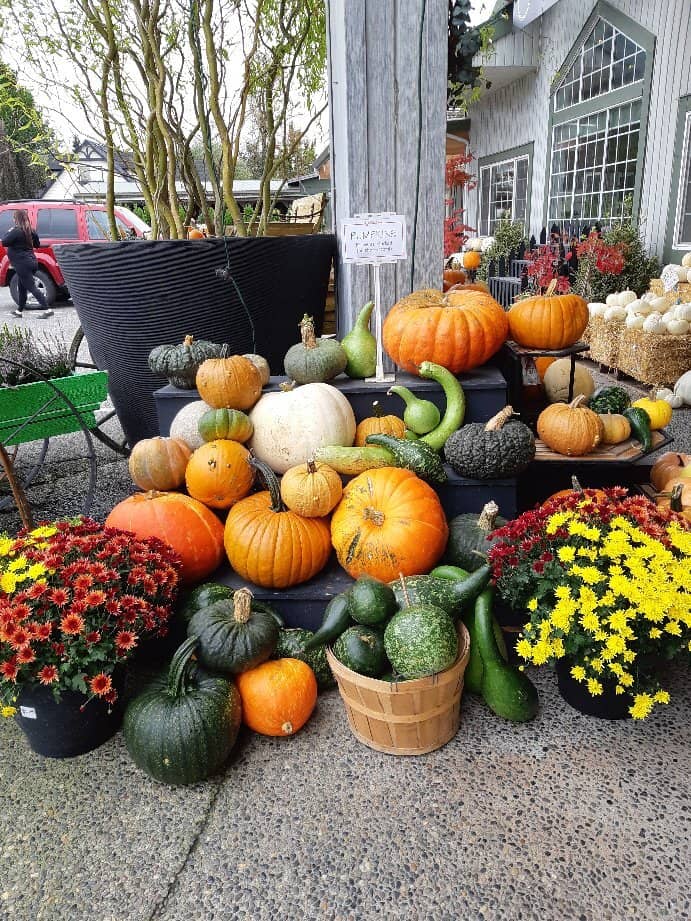 Expert Gardening Advice