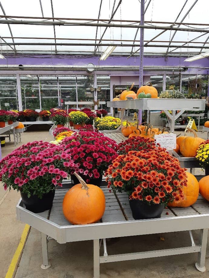 Seasonal Displays & Events