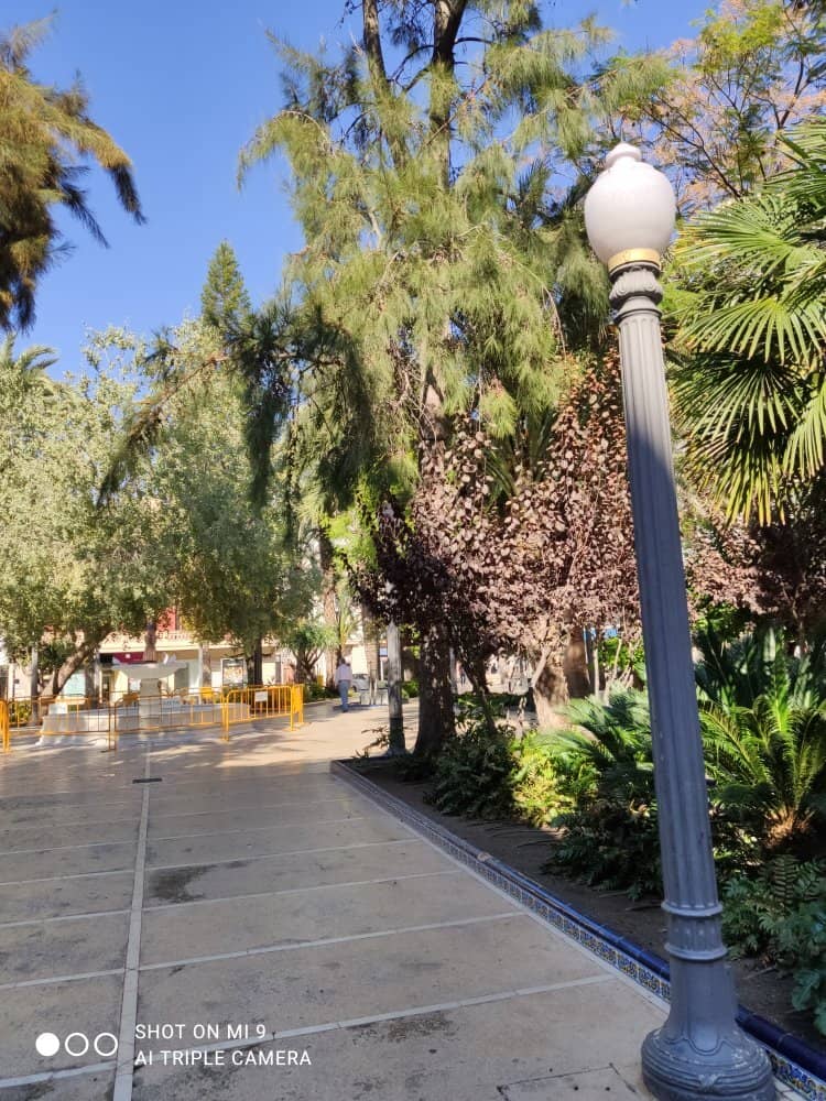 Vibrant Evening Strolls