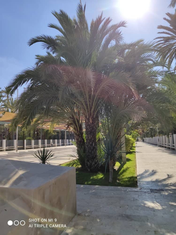 Water Features and Wildlife