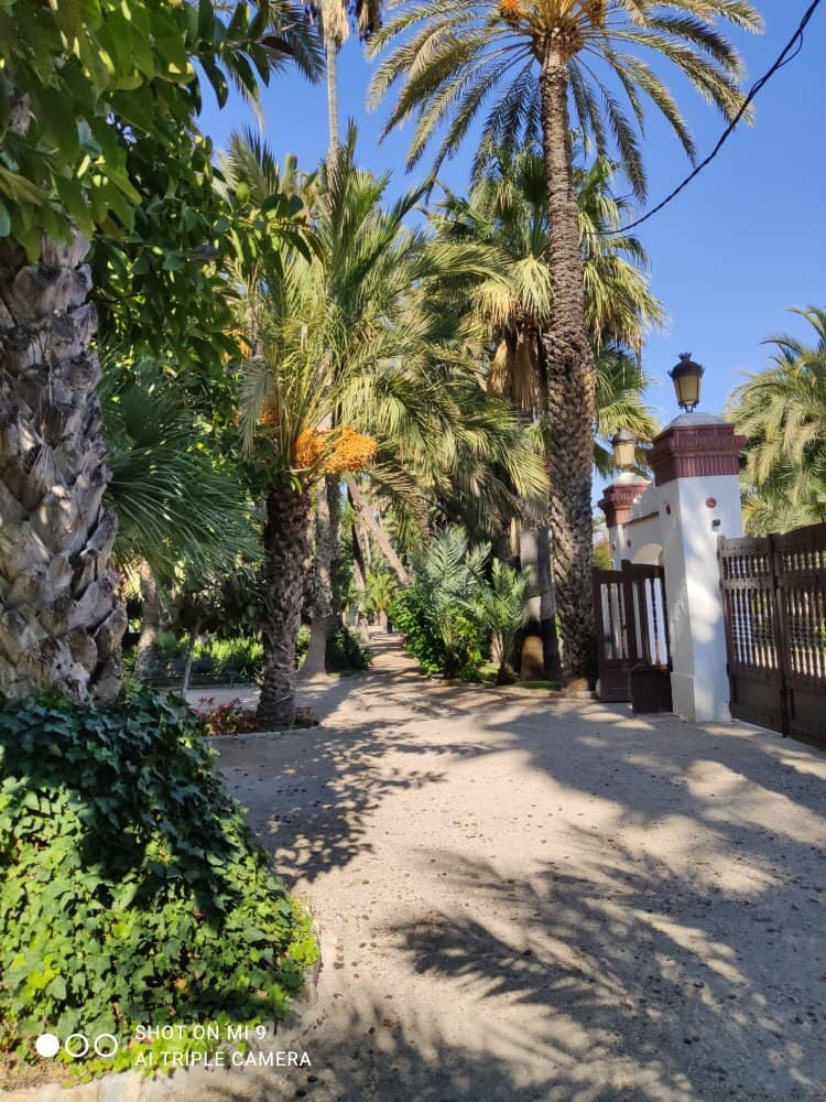 Tranquil Walking Paths