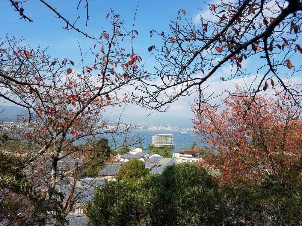 Miyajima's Wild Deer