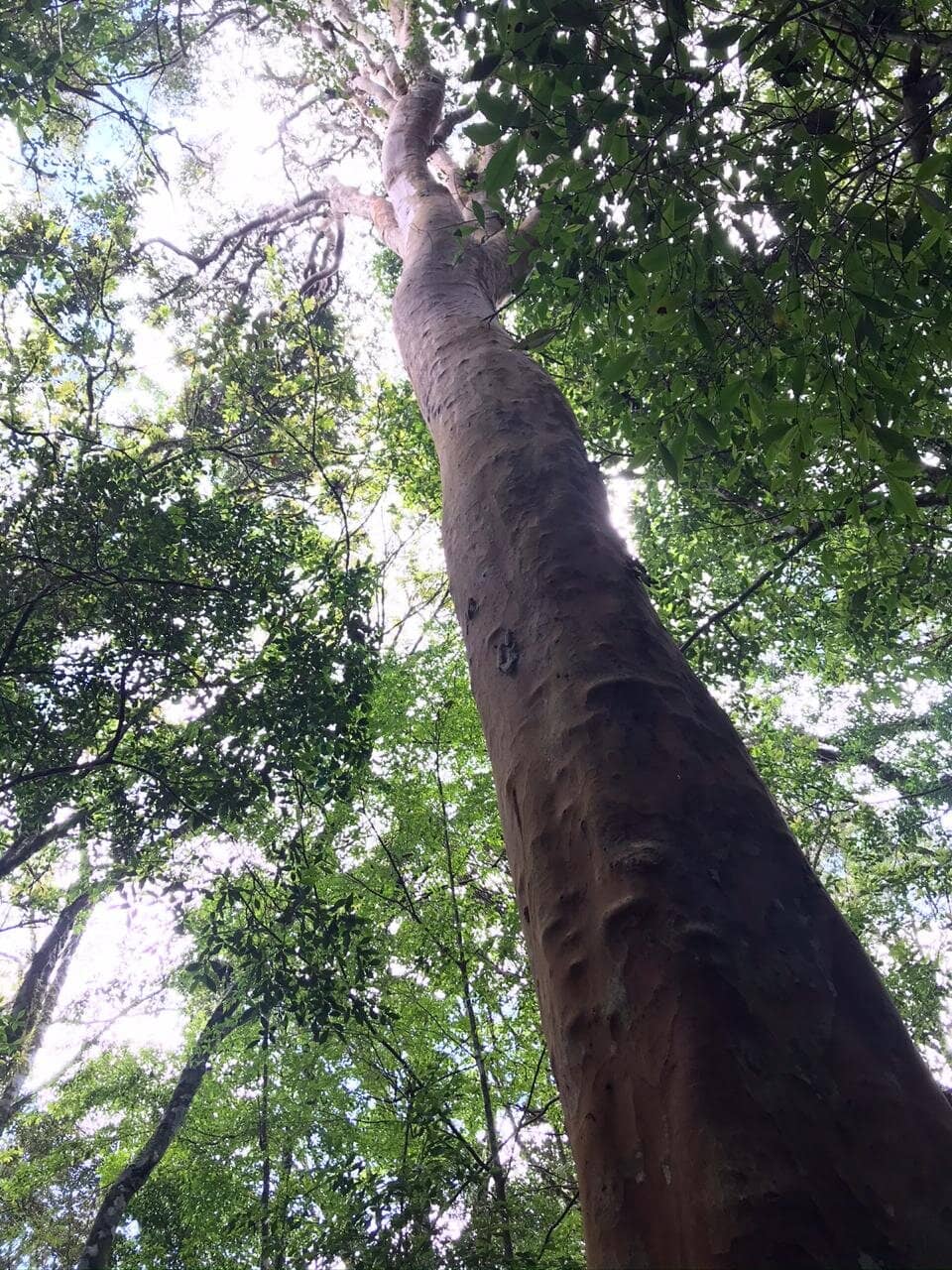 Inclusive Scenic Overlooks