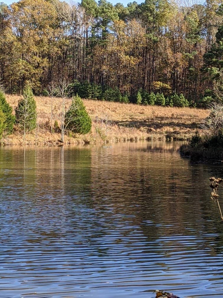 Epps Forest Loop Trail