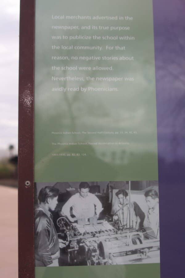 The Serene Duck Ponds