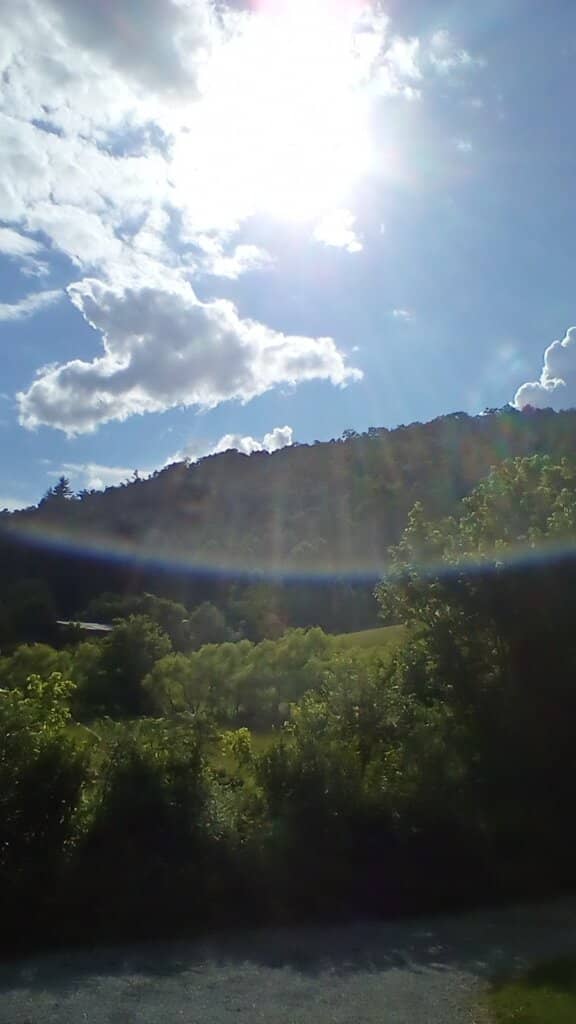 Chocolate Covered Cherry Wine